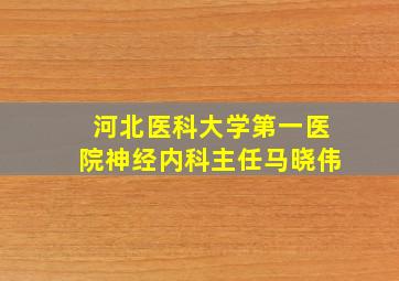 河北医科大学第一医院神经内科主任马晓伟