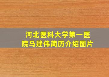 河北医科大学第一医院马建伟简历介绍图片