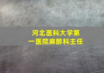 河北医科大学第一医院麻醉科主任