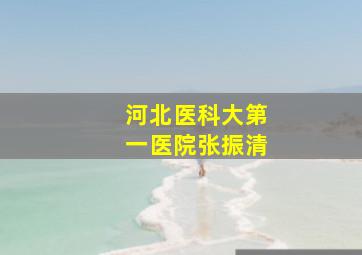 河北医科大第一医院张振清