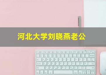 河北大学刘晓燕老公