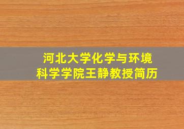 河北大学化学与环境科学学院王静教授简历