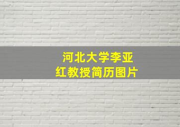 河北大学李亚红教授简历图片