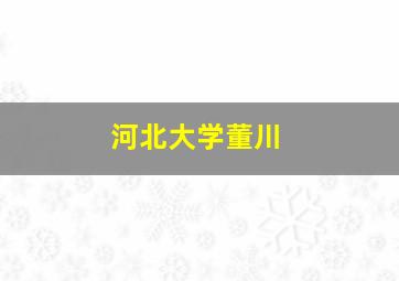 河北大学董川