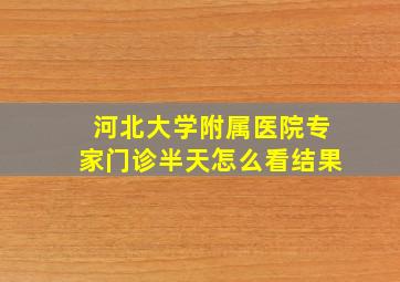 河北大学附属医院专家门诊半天怎么看结果