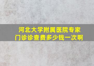 河北大学附属医院专家门诊诊查费多少钱一次啊