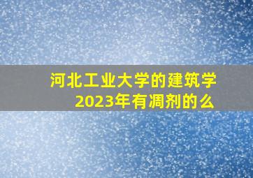 河北工业大学的建筑学2023年有凋剂的么