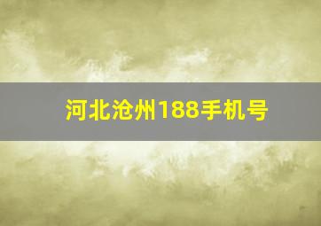 河北沧州188手机号