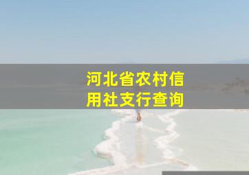 河北省农村信用社支行查询