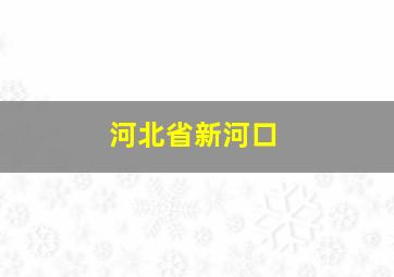 河北省新河口