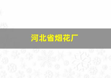 河北省烟花厂