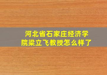 河北省石家庄经济学院梁立飞教授怎么样了