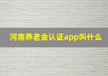 河南养老金认证app叫什么