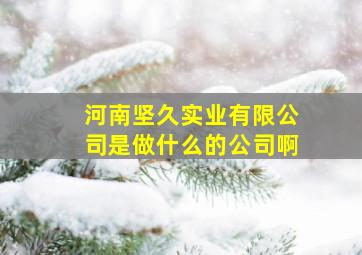 河南坚久实业有限公司是做什么的公司啊