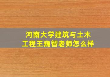 河南大学建筑与土木工程王巍智老师怎么样