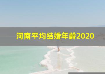 河南平均结婚年龄2020