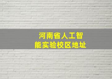 河南省人工智能实验校区地址