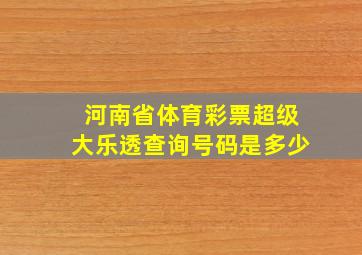 河南省体育彩票超级大乐透查询号码是多少