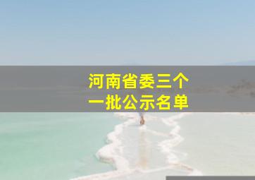 河南省委三个一批公示名单