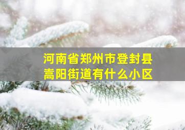 河南省郑州市登封县嵩阳街道有什么小区