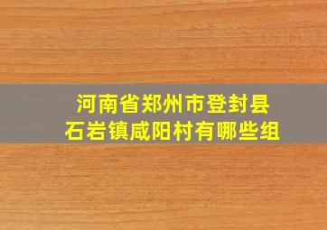 河南省郑州市登封县石岩镇咸阳村有哪些组