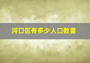 河口区有多少人口数量