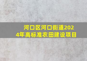 河口区河口街道2024年高标准农田建设项目