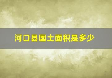 河口县国土面积是多少