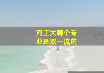 河工大哪个专业是双一流的