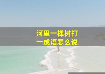 河里一棵树打一成语怎么说