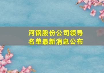 河钢股份公司领导名单最新消息公布