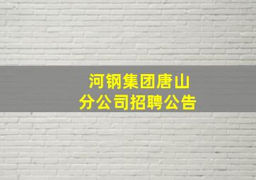 河钢集团唐山分公司招聘公告