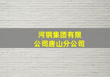 河钢集团有限公司唐山分公司