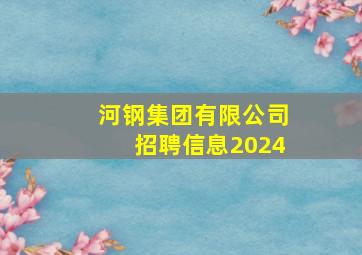 河钢集团有限公司招聘信息2024