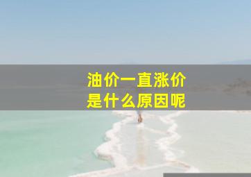 油价一直涨价是什么原因呢