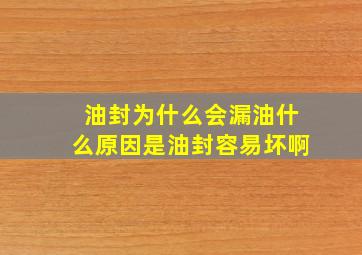 油封为什么会漏油什么原因是油封容易坏啊