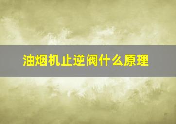 油烟机止逆阀什么原理