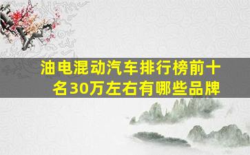 油电混动汽车排行榜前十名30万左右有哪些品牌