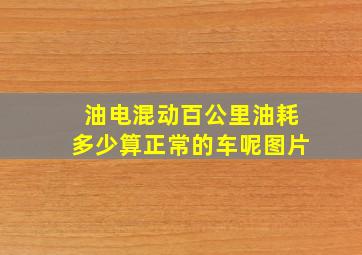 油电混动百公里油耗多少算正常的车呢图片