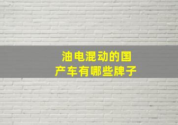 油电混动的国产车有哪些牌子