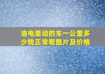 油电混动的车一公里多少钱正常呢图片及价格