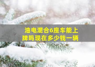 油电混合6座车能上牌吗现在多少钱一辆