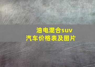 油电混合suv汽车价格表及图片