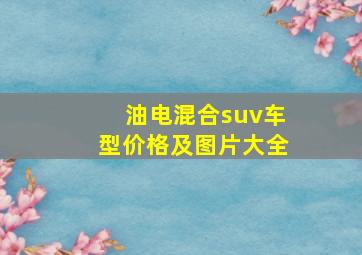 油电混合suv车型价格及图片大全