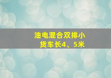 油电混合双排小货车长4、5米