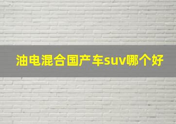 油电混合国产车suv哪个好