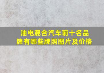 油电混合汽车前十名品牌有哪些牌照图片及价格