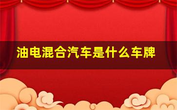 油电混合汽车是什么车牌