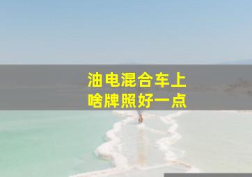 油电混合车上啥牌照好一点