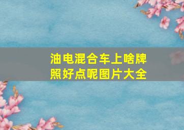 油电混合车上啥牌照好点呢图片大全